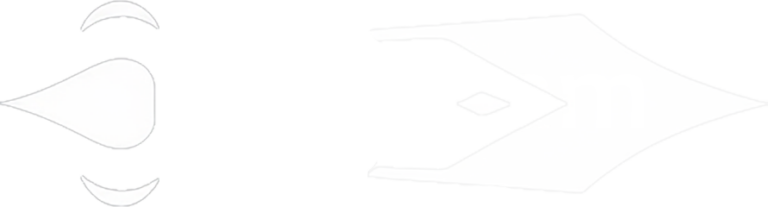 Our Team